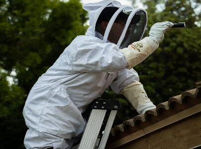 Why You Should Avoid DIY Kendall Bee Removal Why You Should Avoid DIY Kendall Bee Removal